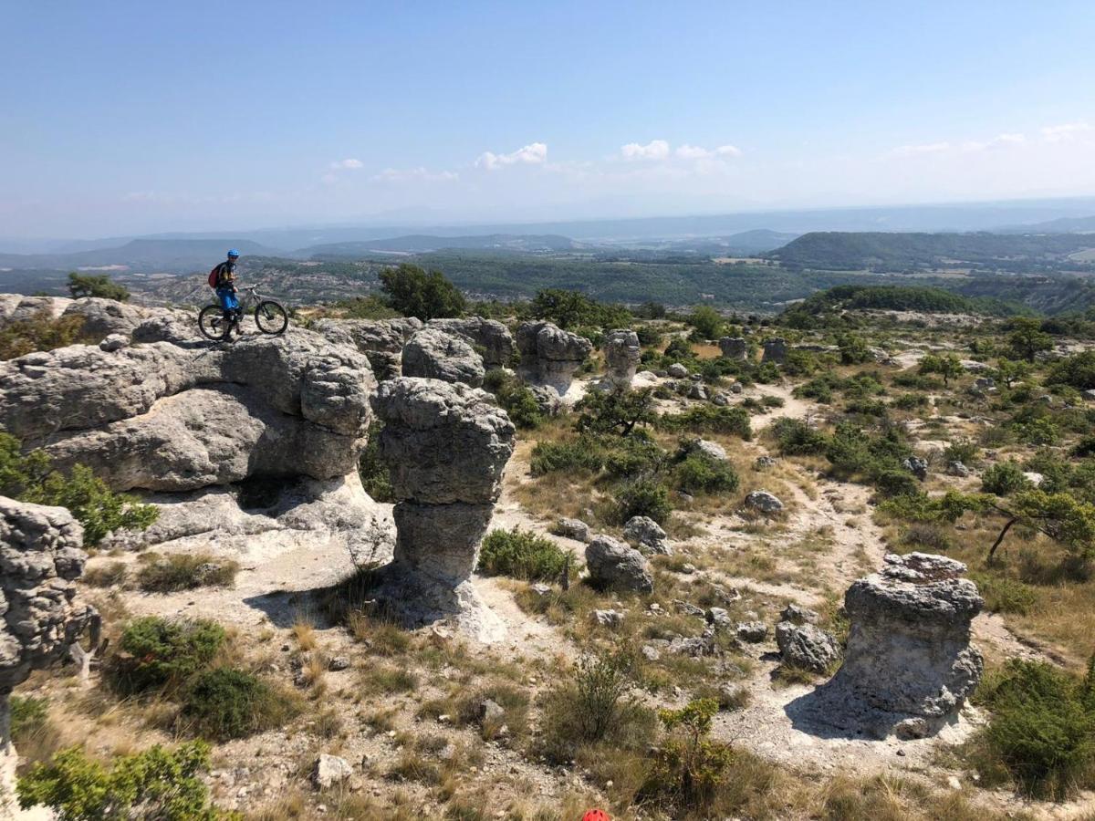 Reve De Provence Villa Avec Jardin Et Piscine Forcalquier Eksteriør billede