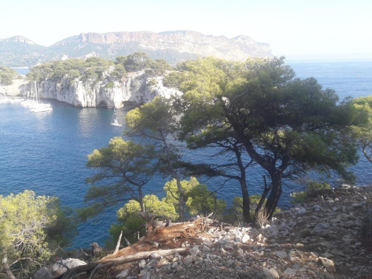 Reve De Provence Villa Avec Jardin Et Piscine Forcalquier Eksteriør billede