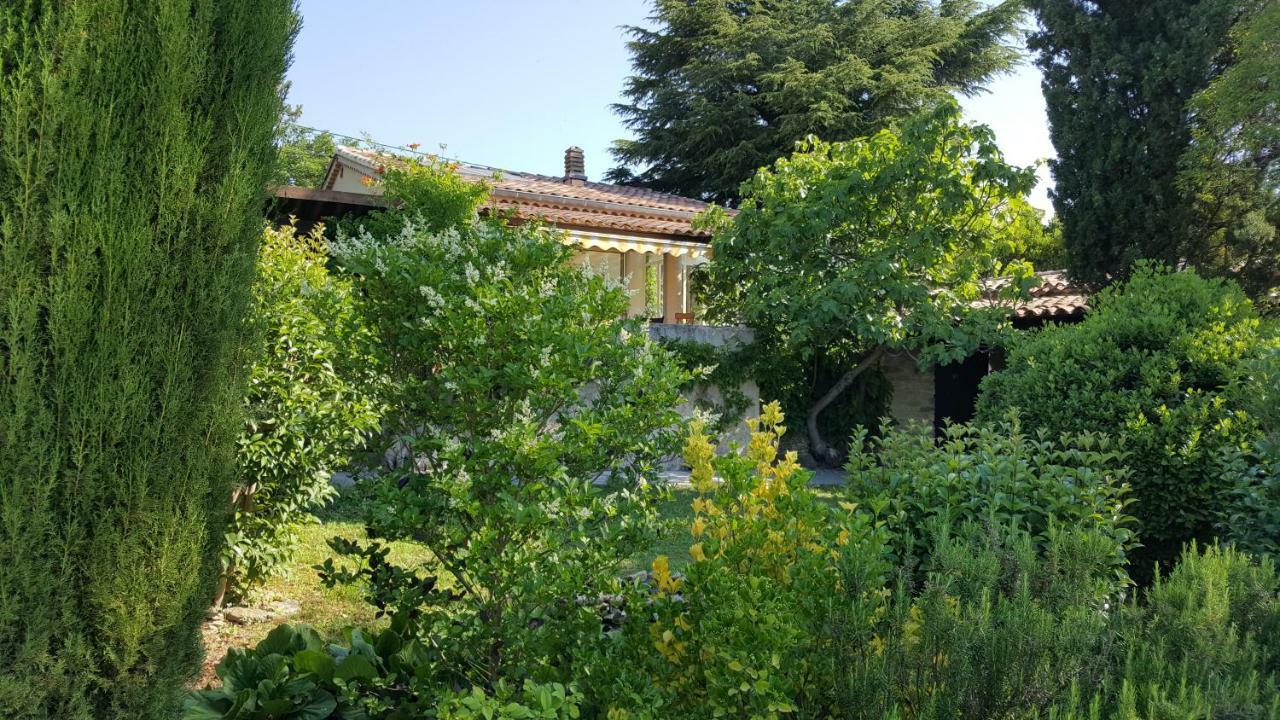 Reve De Provence Villa Avec Jardin Et Piscine Forcalquier Eksteriør billede